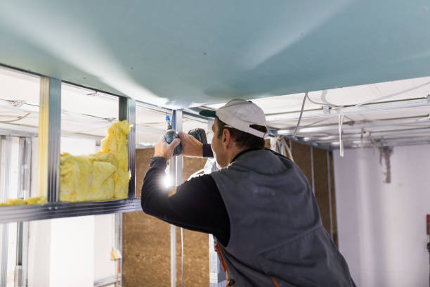 Best Eco-Friendly Insulation in Metzger, OR